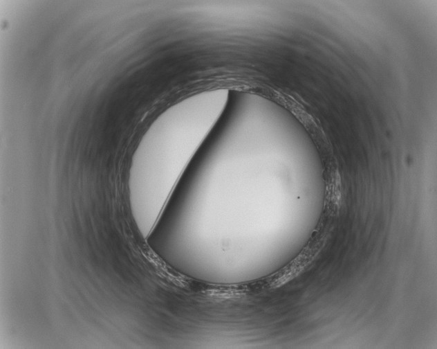 X0000087410763200704201020