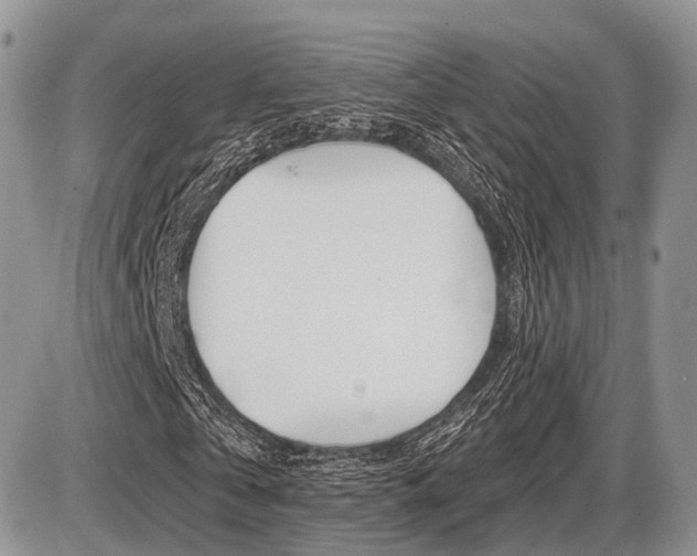 X0000087410769200704201019