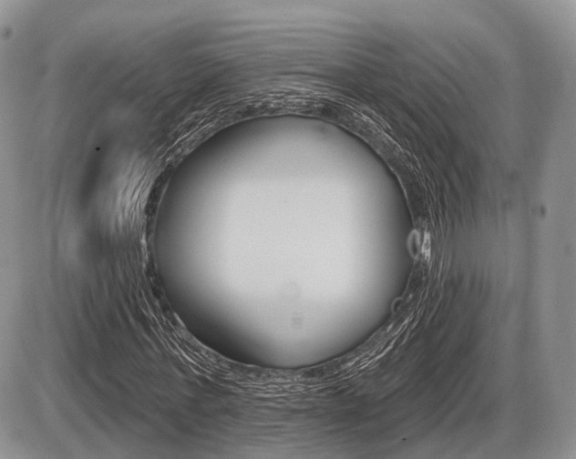 X0000087410771200704201019