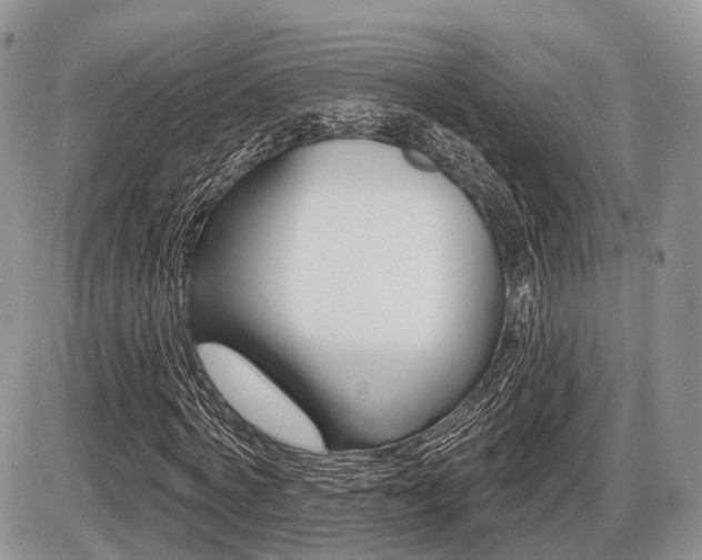 X0000087410772200704201019