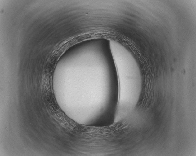 X0000087410773200704201019