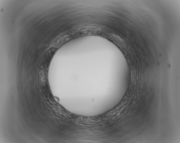 X0000087410774200704201019