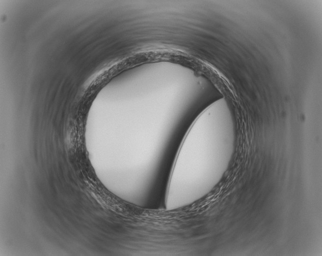 X0000087410775200704201019