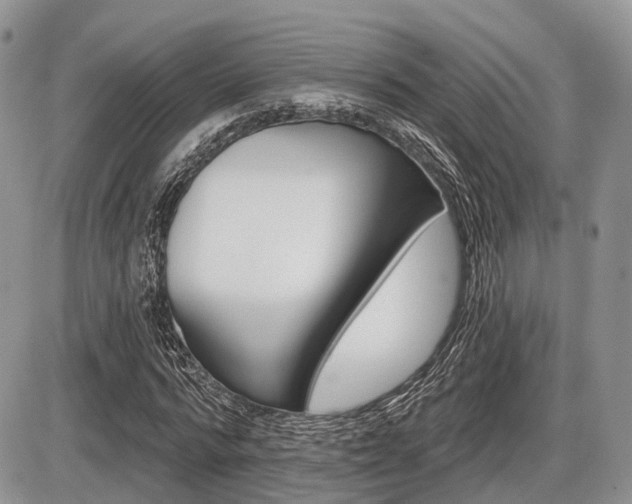 X0000087410776200704201019