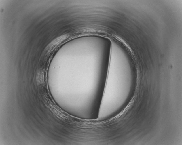 X0000087410777200704201019