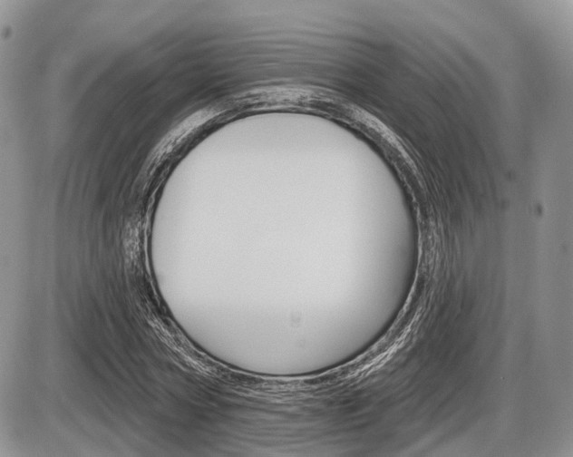 X0000087410778200704201019