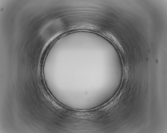 X0000087410780200704201019