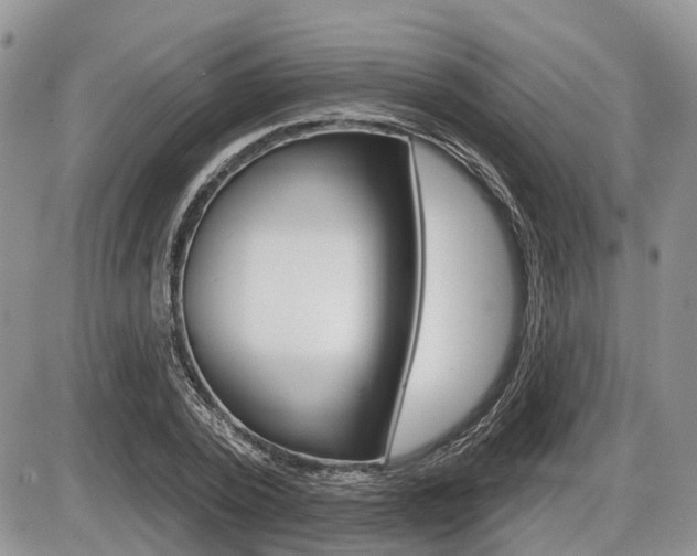 X0000087410784200704201019