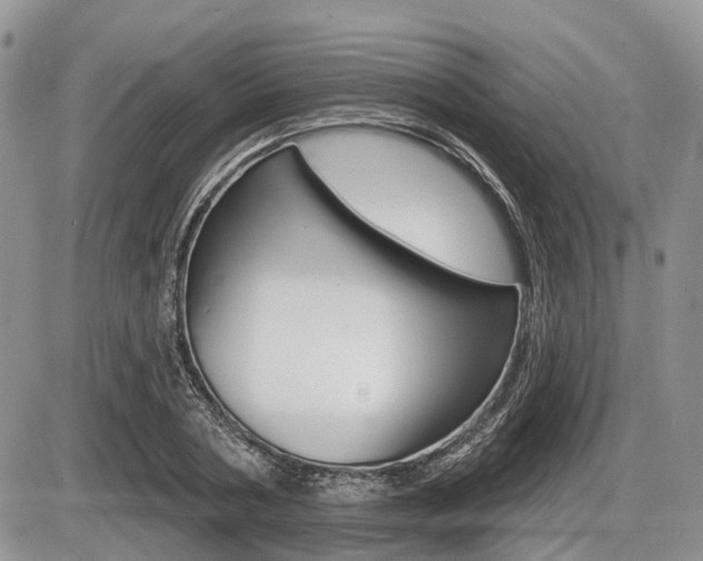 X0000087410786200704201019