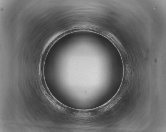 X0000087410788200704201019