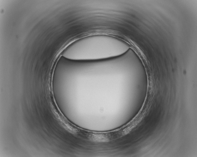X0000087410794200704201019