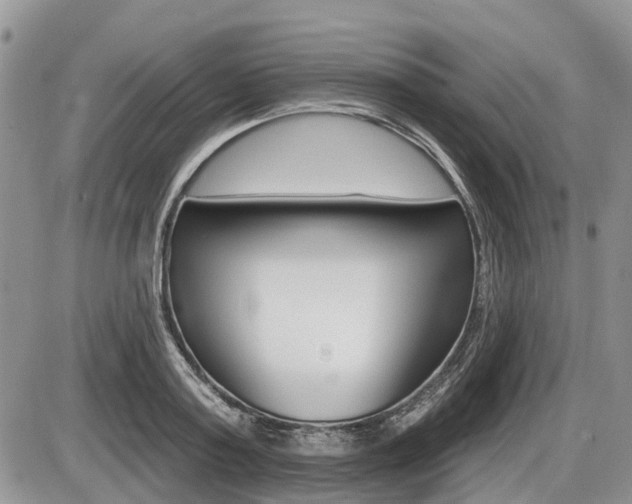 X0000087410795200704201019