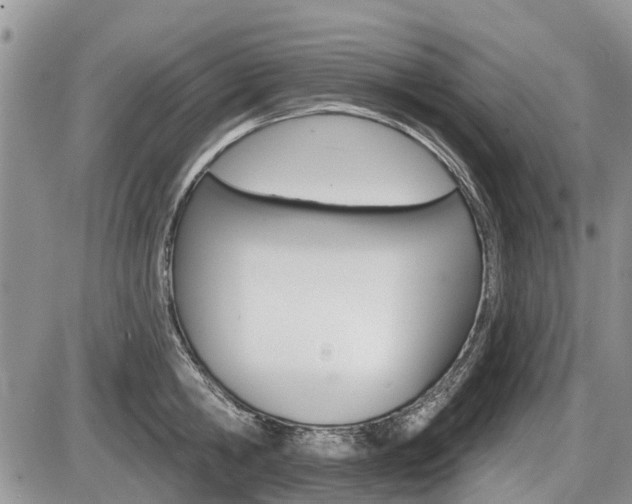 X0000087410806200704201019