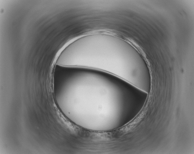 X0000087410816200704201019