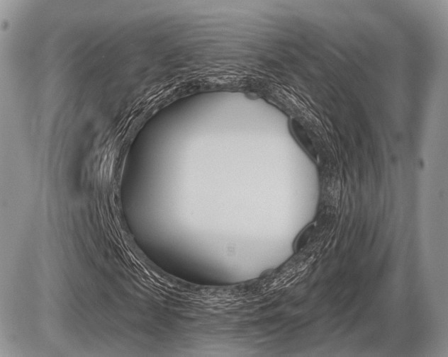X0000087410817200704201018