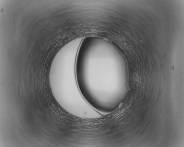 X0000087410818200704201018