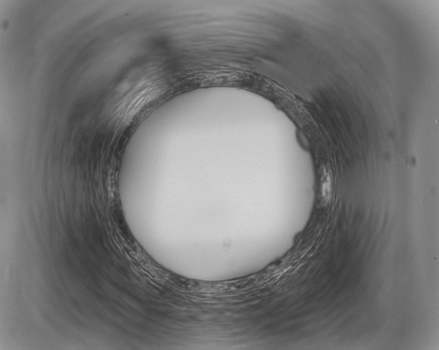 X0000087410819200704201018