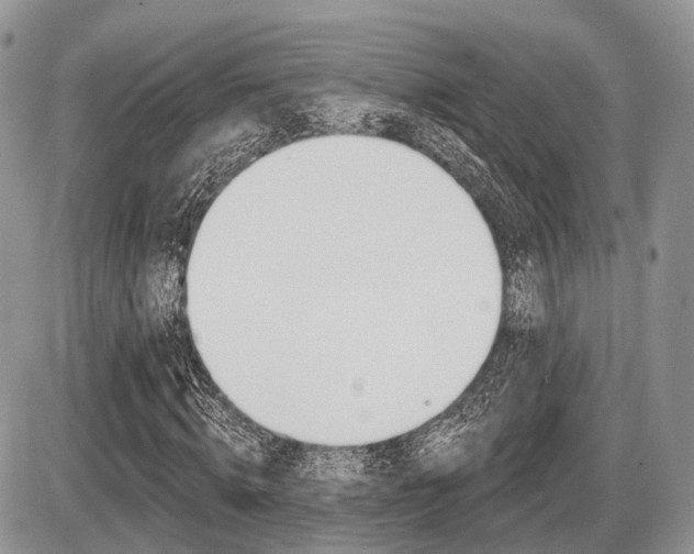 X0000087410820200704201018
