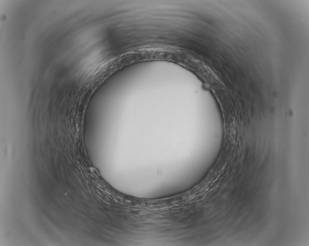 X0000087410821200704201018