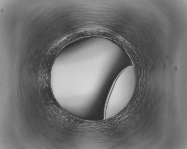 X0000087410822200704201018