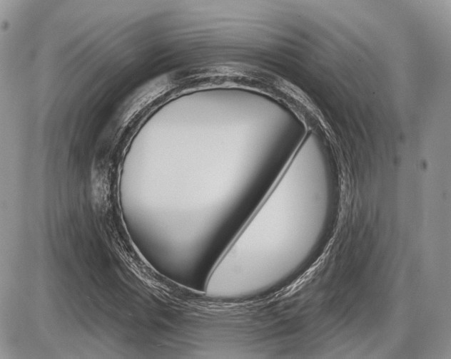X0000087410826200704201018