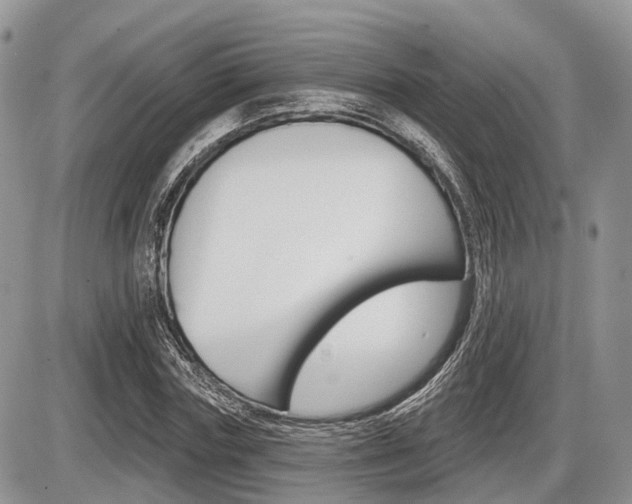 X0000087410827200704201018