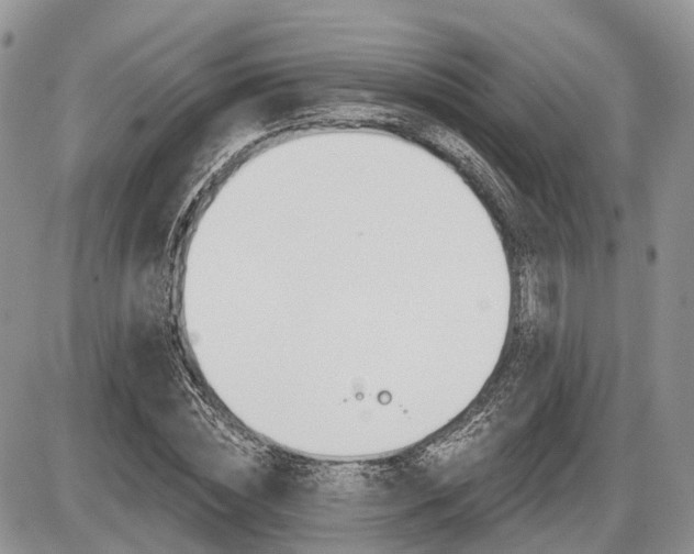 X0000087410828200704201018