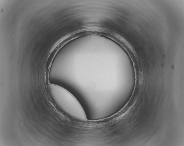 X0000087410829200704201018