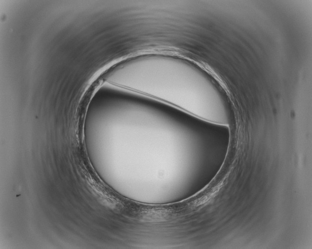 X0000087410830200704201018