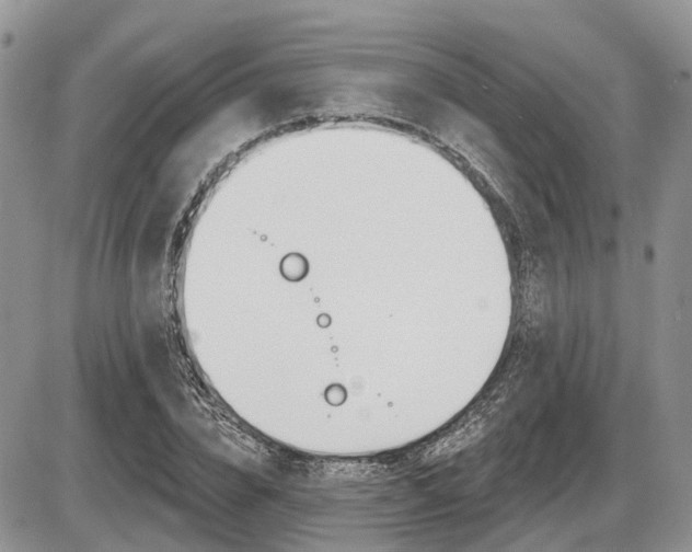 X0000087410832200704201018