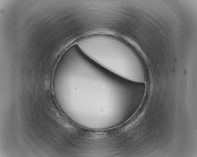 X0000087410833200704201018