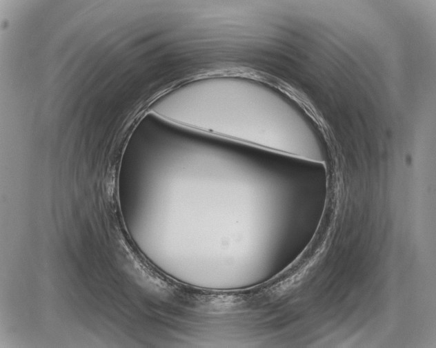 X0000087410841200704201018