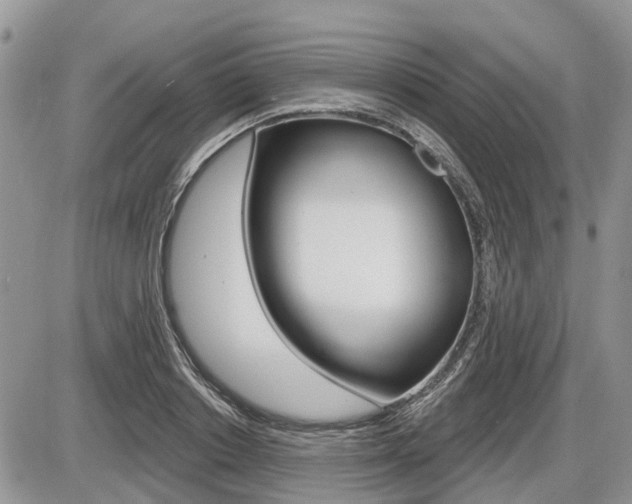 X0000087410842200704201018