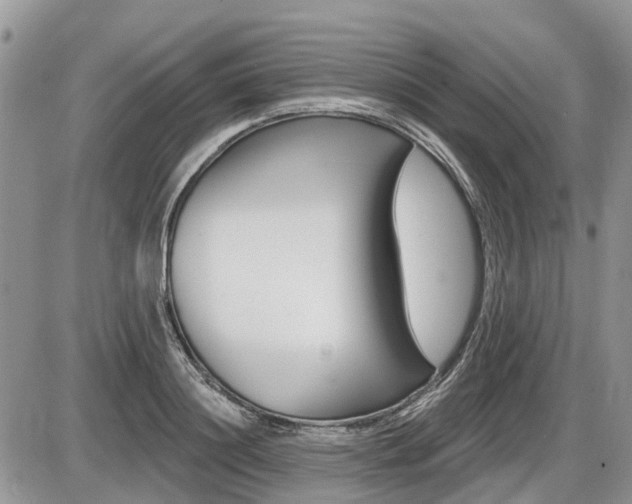X0000087410844200704201018