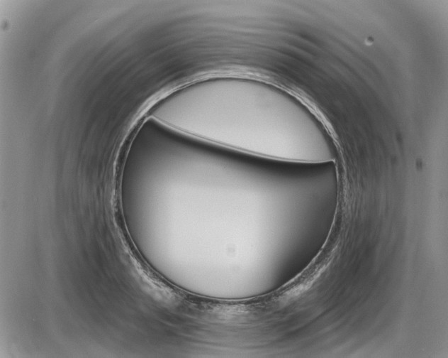 X0000087410845200704201018
