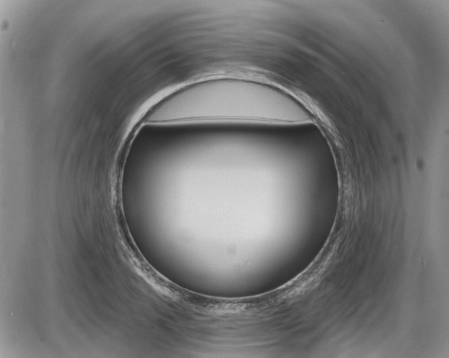 X0000087410846200704201018