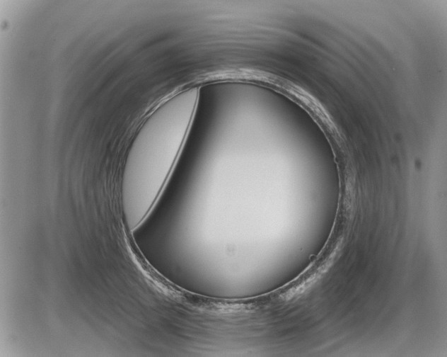 X0000087410849200704201018