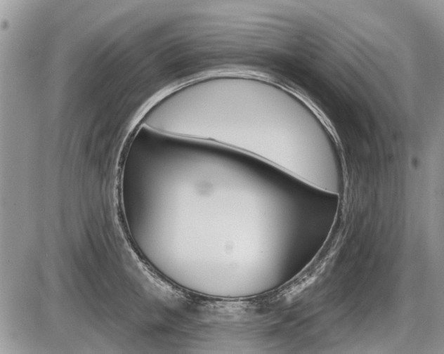 X0000087410853200704201019