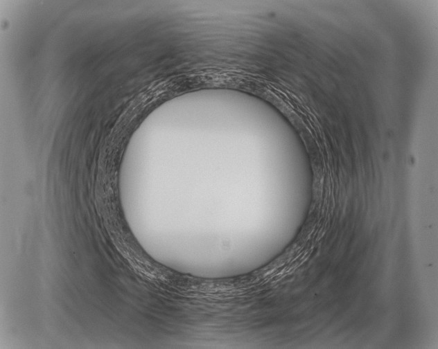 X0000087410865200704201018