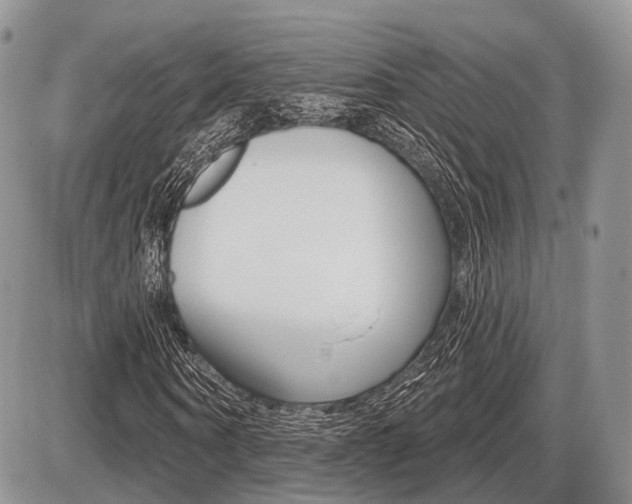 X0000087410866200704201018