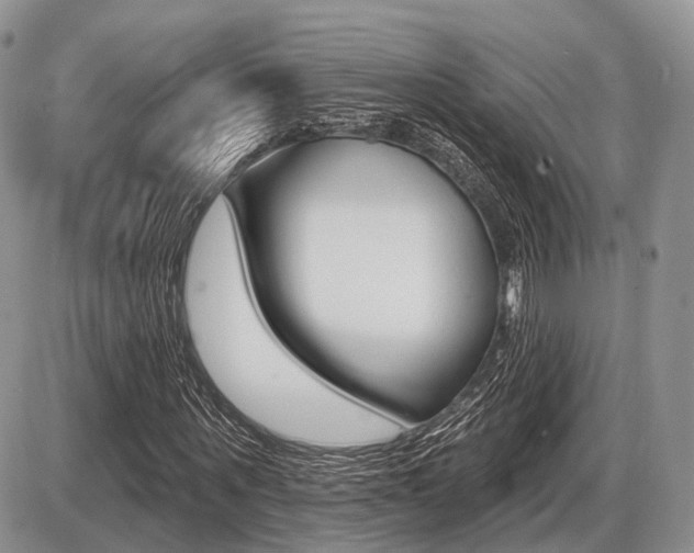 X0000087410867200704201018