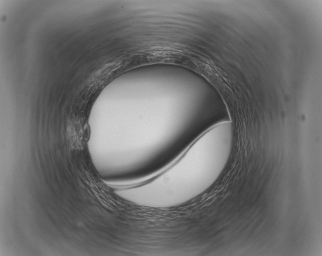 X0000087410868200704201018