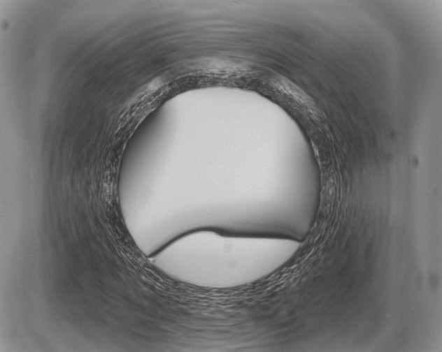 X0000087410869200704201018