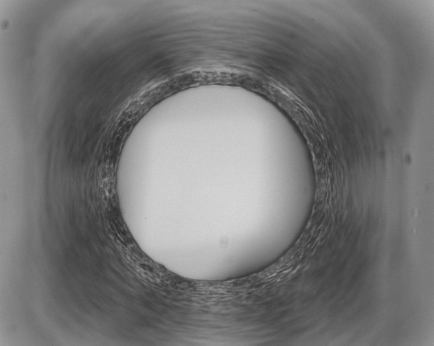 X0000087410870200704201018