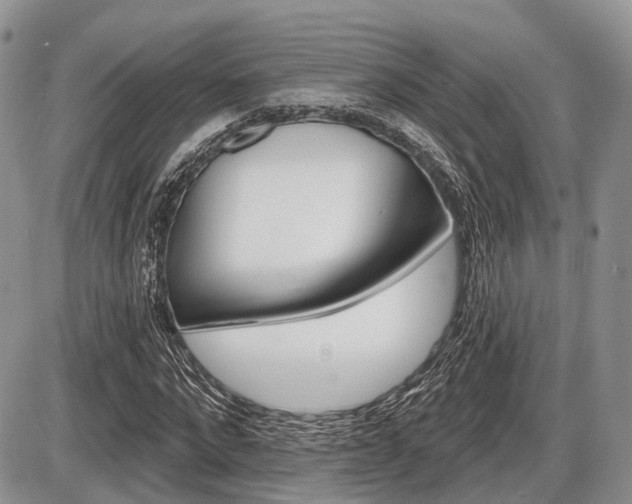 X0000087410872200704201018
