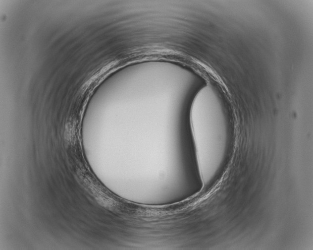 X0000087410873200704201018