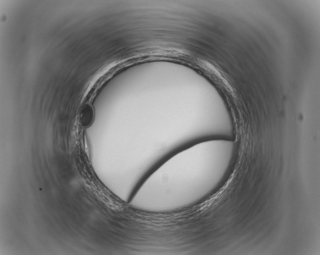 X0000087410875200704201018