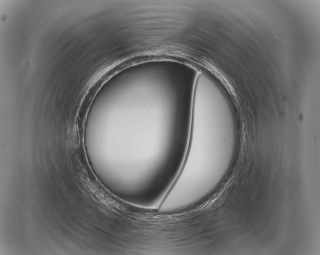 X0000087410876200704201018