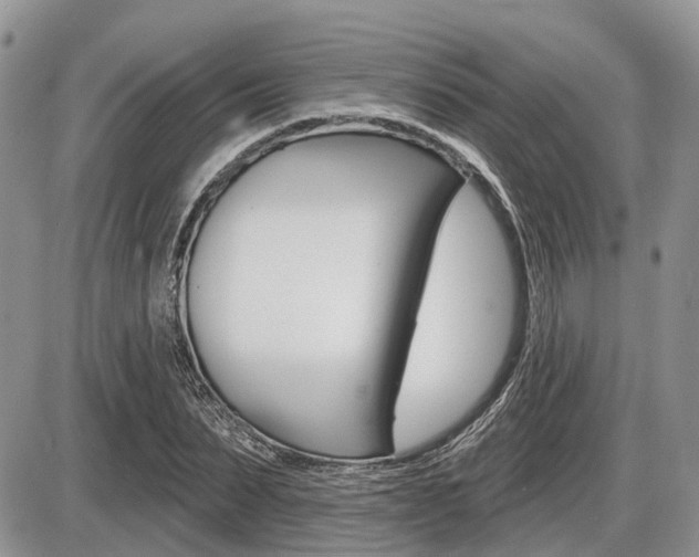 X0000087410879200704201018