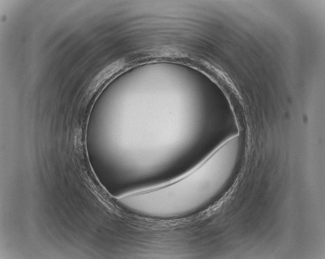 X0000087410881200704201018